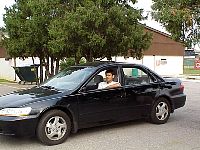 hondabythetree.jpg